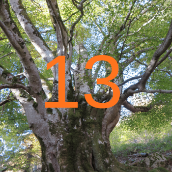 Screenshot_20251212-181310