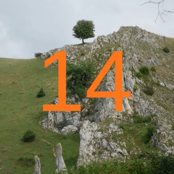 Screenshot_20251214-001209